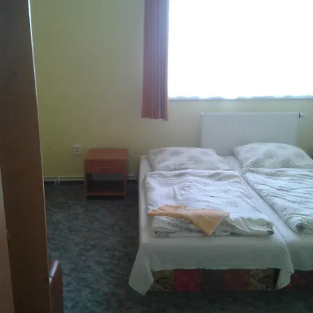 Pensionat Radvan 3*